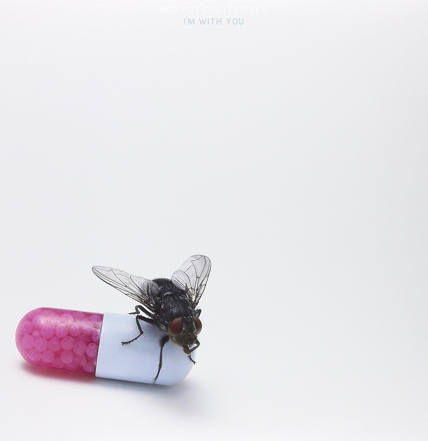 Red Hot Chili Peppers I'm With You