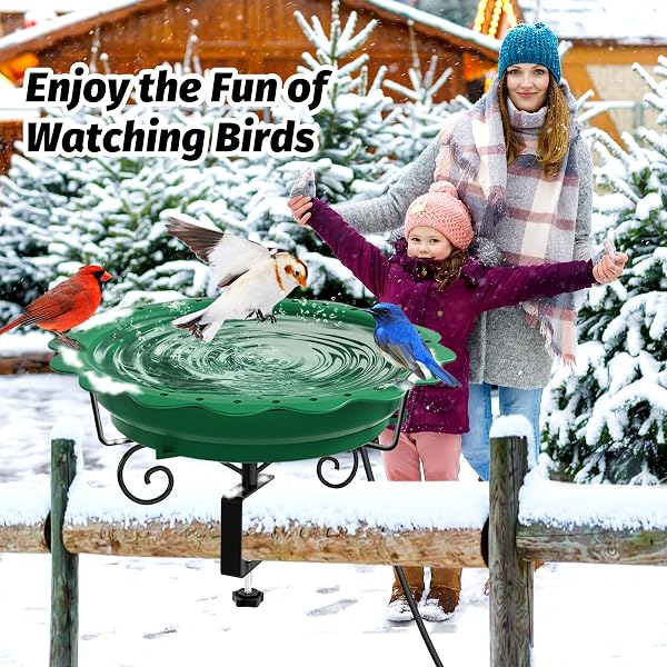 JVGOO HEATED BIRD BATH FOR DECK RAILING, POWERFUL 100W THERMOSTATICALLY CONTROLLED HEATED BIRD BATHS FOR OUTDOORS FOR WINTER, HEATED BIRDBATH WATER HEATER FOR OUTSIDE GARDEN YARD PATIO LAWN (GREEN)