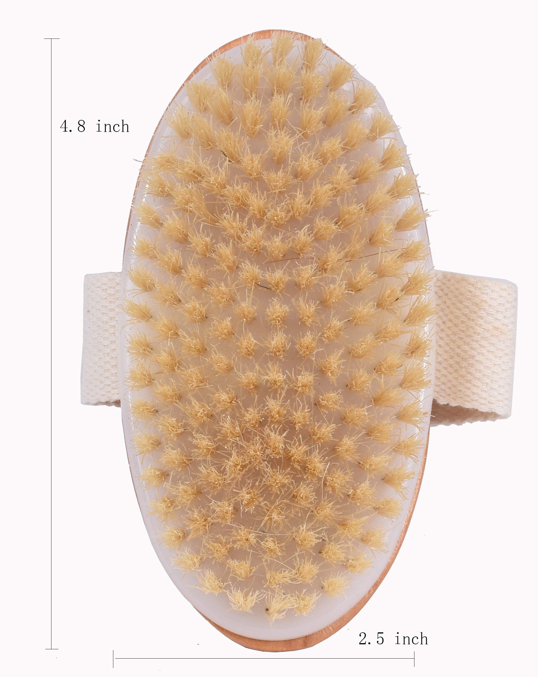 Dry Bath Body Brush Back Scrubber, Improves Skin\'s Health, 100% Natural Bristles Body Massager, Perfect for Exfoliating, Detox and Cellulite, Blood Circulation, Good for Health and Beauty