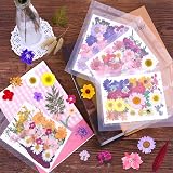 Cruzix 140 Pieces Dried Pressed Flowers for Resin DIY Crafts view 7