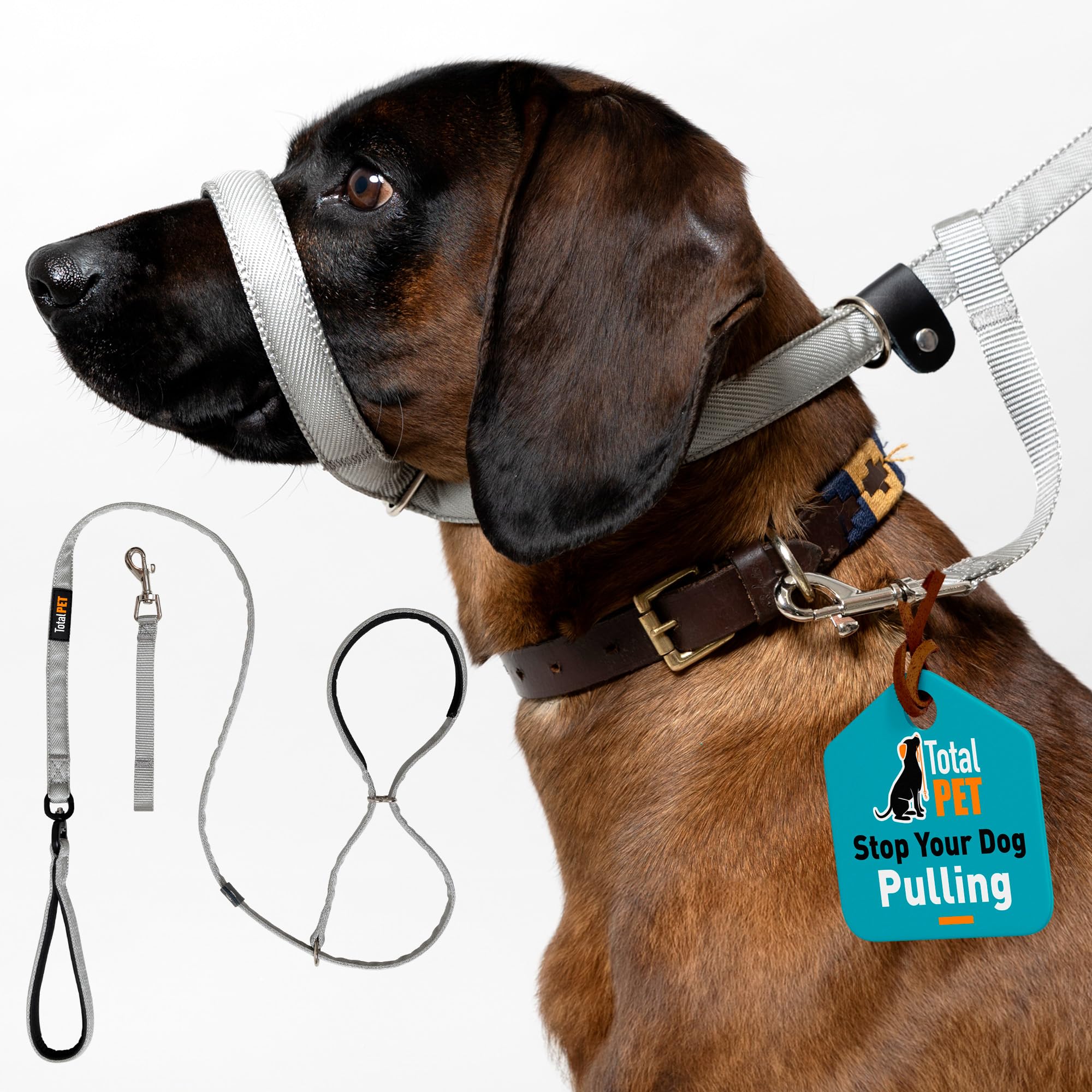 Total Pet Figure of 8 Dog Lead Flat with Anti Tangle Swivel Mechanism – Anti Pull Stop Dogs Pulling – Slip Leads Reflective with Padded Nose Support - (Grey, 210cm)