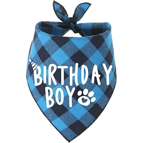 Dog Birthday Bandana Boy