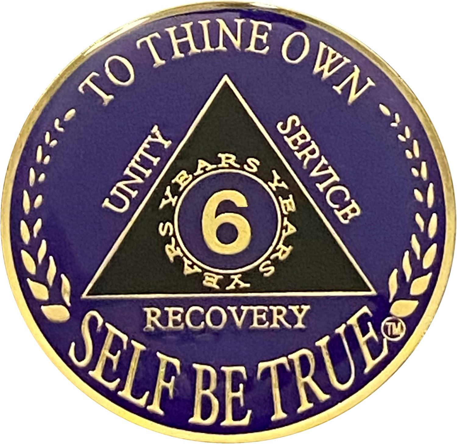 Amazon 6 Year AA Gold Plated Medallion Recovery Token AA Token 