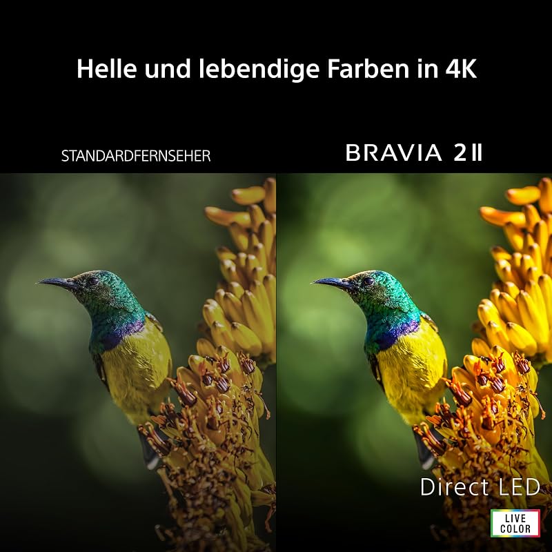 BRAVIA 2II 75 Zoll Fernseher, 4K Smart TV (Google TV), X1 Prozessor, 4K-Upscaling, Fernseher mit Dolby Atmos und DTS:X, PS5-Kompatibilität, 75S20M2, Modell 2026