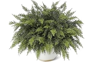 GLIDLION 18" Real Touch Cedar Branches -12 Pcs, Artificial Christmas Cedar Branch Realistic Fake Pine Picks Faux Greenery Plants Stem for Vase DIY Crafts Garland Wreath Indoor Outdoor Home Decor