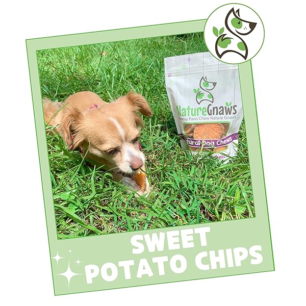 NATURE GNAWS SWEET POTATO CHIPS FOR DOGS – SINGLE INGREDIENT NATURAL DOG CHEW TREATS – 12 OZ