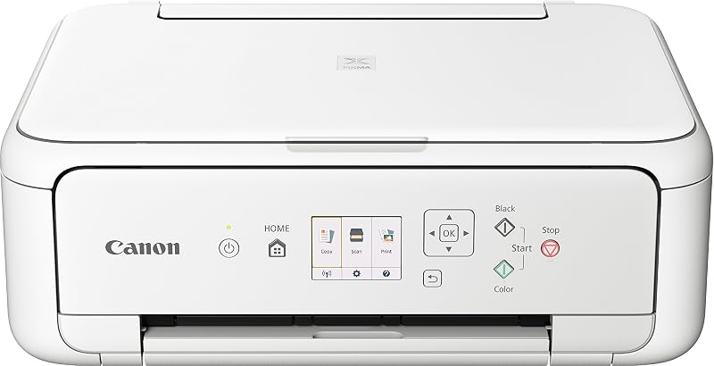 Canon PIXMA TS5151 All-in-One Printer Wireless Photo Printing Home use