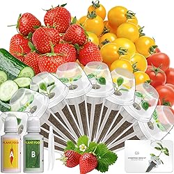 Fruits Seed Pod Kit for