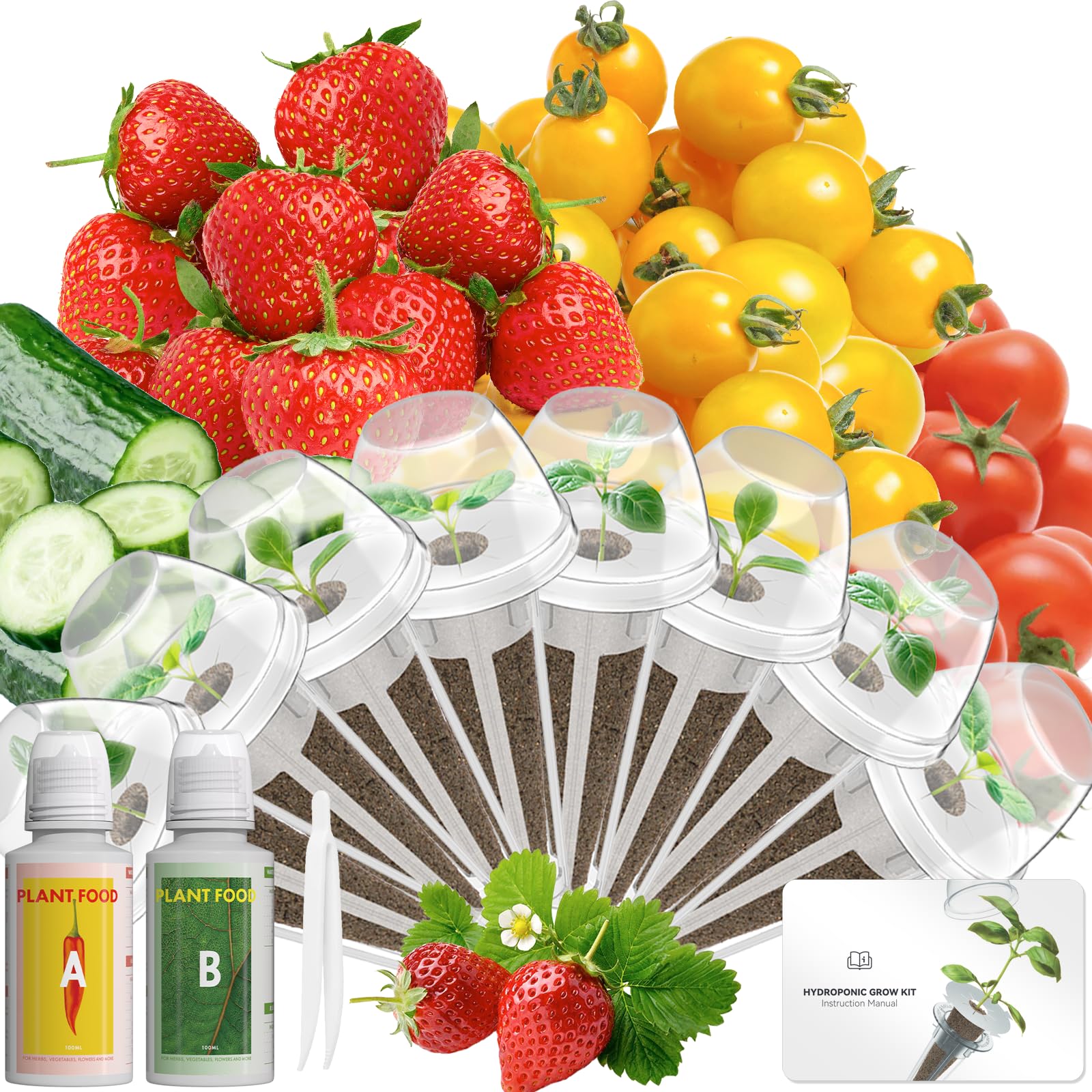 Fruits Seed Pod Kit for