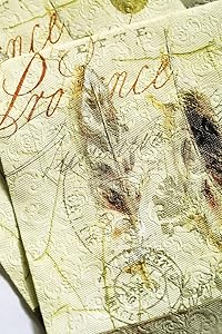 Cypress Home Provencial Embossed Paper Luncheon Napkin, 20 count