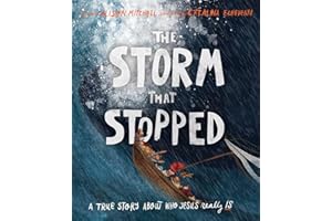 The Storm That Stopped: A true story about who Jesus really is
