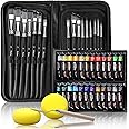 VIKEWE Acrylic Paint Set, 44 Piece Professional Painting Set, Includes 24 Acrylic Paints, 16 Pcs Paint Brushes with Case,Paint Knife and Art Sponge for Watercolor, Oil, Artists, Students and Kids