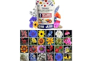 HOME GROWN 131,200+ Pure Wildflower Seeds 𝗨𝗦𝗔 - Premium Texas Flower Seeds [3 Oz] Perennial Garden Seeds for Birds & Butterflies - Wild Flowers Bulk Perennial: 22 Varieties Flower Seed for Planting