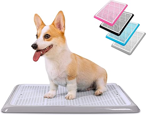 Tray for dog pee pads Clearance