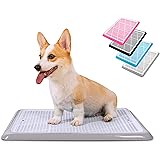 blyss pets klean paws