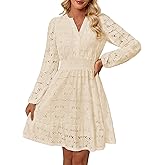 Women's Long Puff Sleeve Floral Mini Dress Spring V Neck Hollow Out Eyelet Lace Embroidery Ruffle A Line Swing Short Dresses