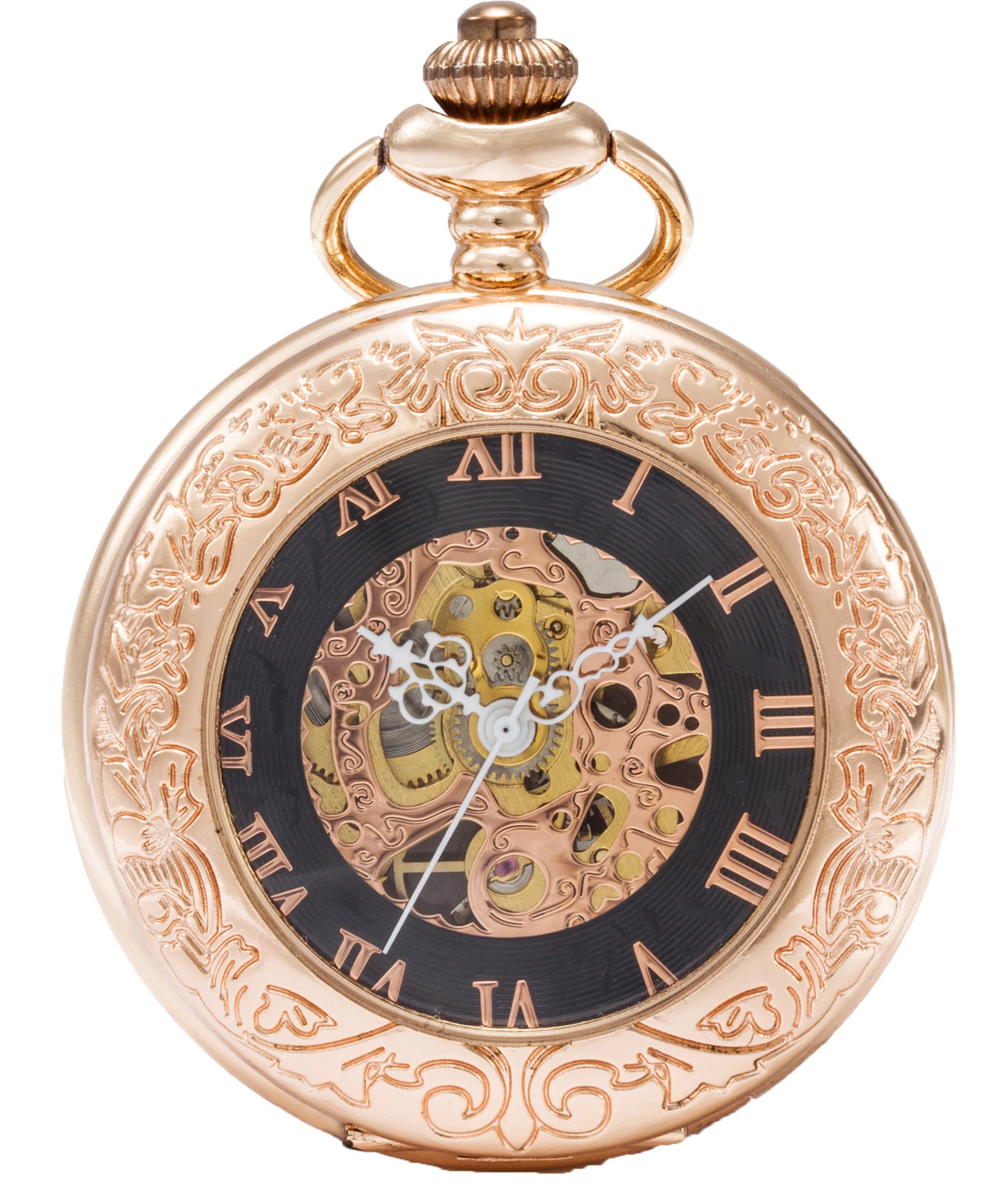 SEWOR Vintage Magnifier Skeleton Pocket Watch Mechanical Hand Wind Pocket Watch Include Brand Leather Box (Gold)