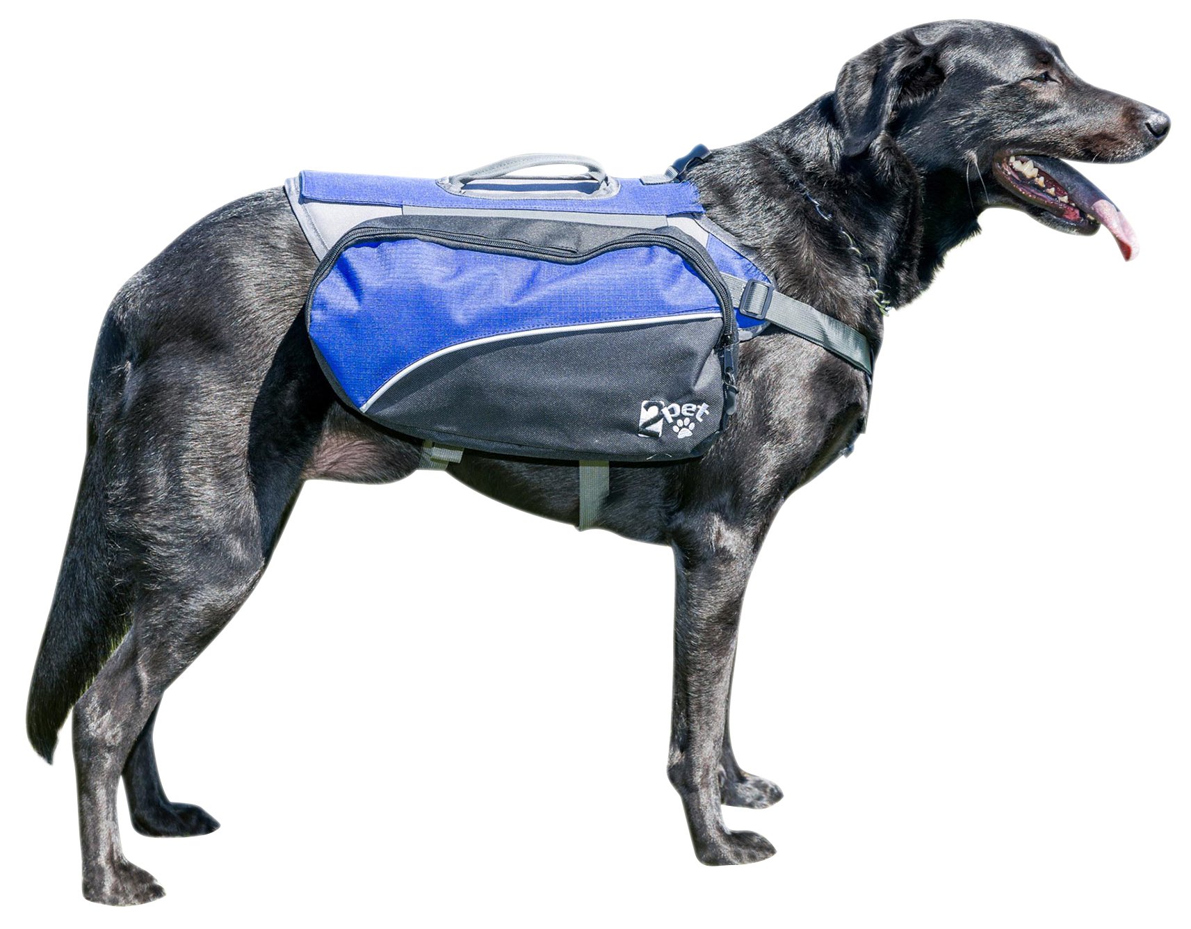 dog backpack harness for hiking