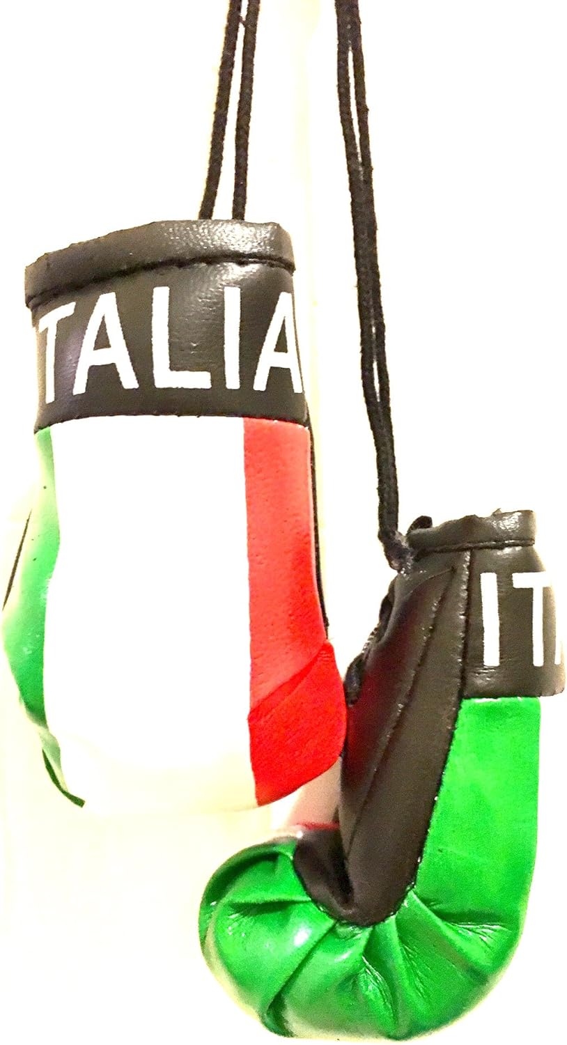italian boxing gloves for car