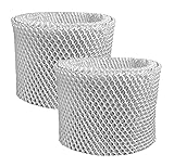 2-Pack Air Filter Factory Replacement For Sunbeam