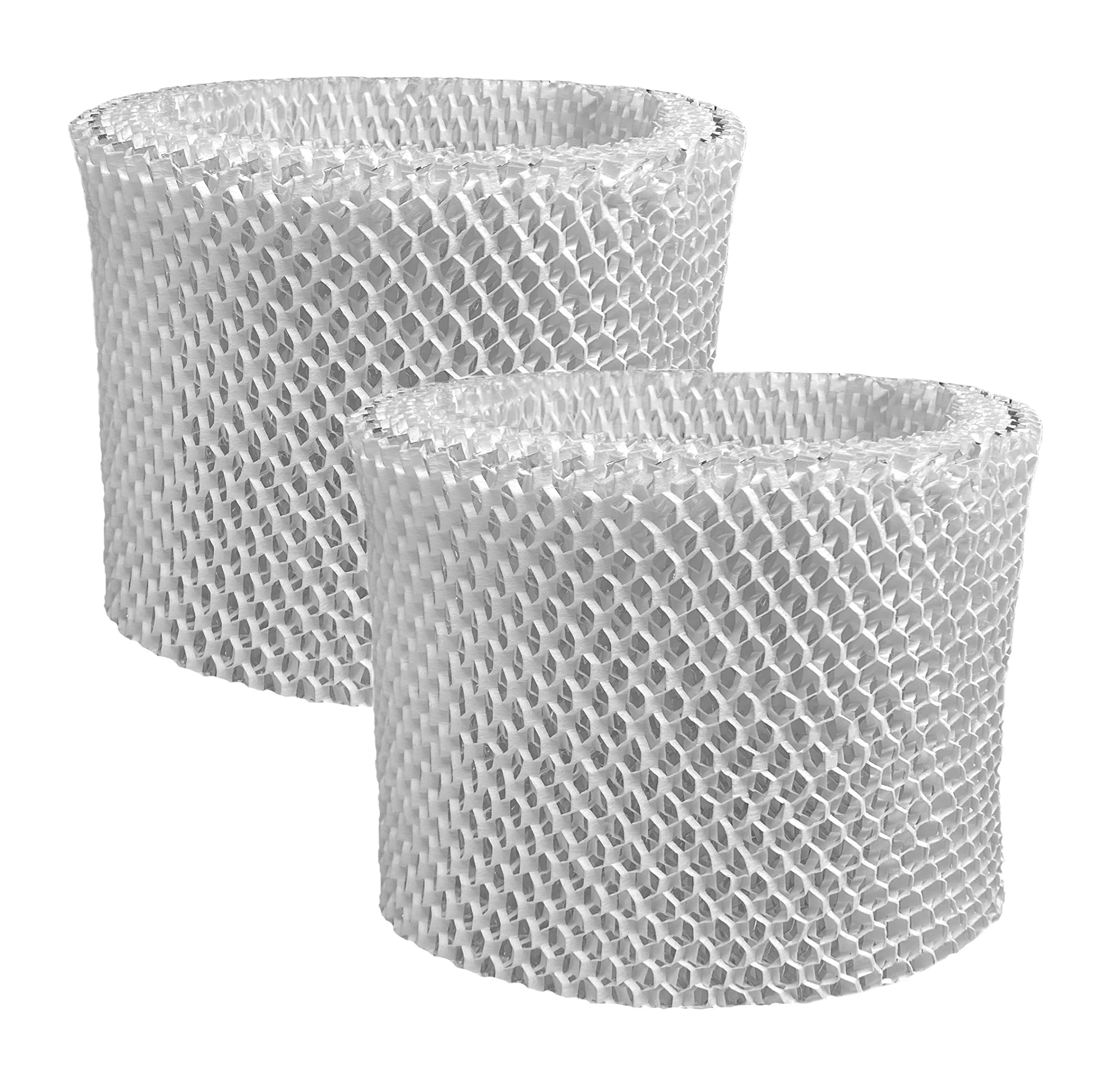 2-Pack Air Filter Factory Replacement For Sunbeam