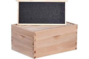 BeeCastle 8 Frame Deep Brood Bee Hive Box, Langstroth Honey Bee Hive Include Beehive Frames and Waxed Foundations (Unassembled)