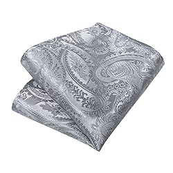 DiBanGu Silk Paisley Ties for Men Woven Necktie and