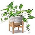 Kurrajong Farmhouse 7.25in Ceramic Planter with Bamboo Stand, Indoor Use, Caramel and White