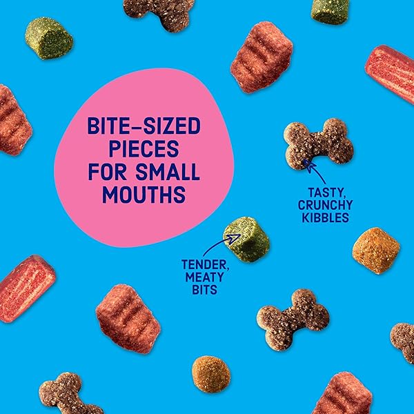 KIBBLES ‘N BITS MINI BITS SMALL BREED DRY DOG FOOD, SAVORY BACON & STEAK FLAVOR FOR ADULT DOGS, 3.5 LB. BAG