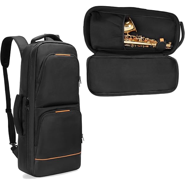 Amazon.com: BAM! gig bag for tenor saxophone BAMTECH BAMTECH