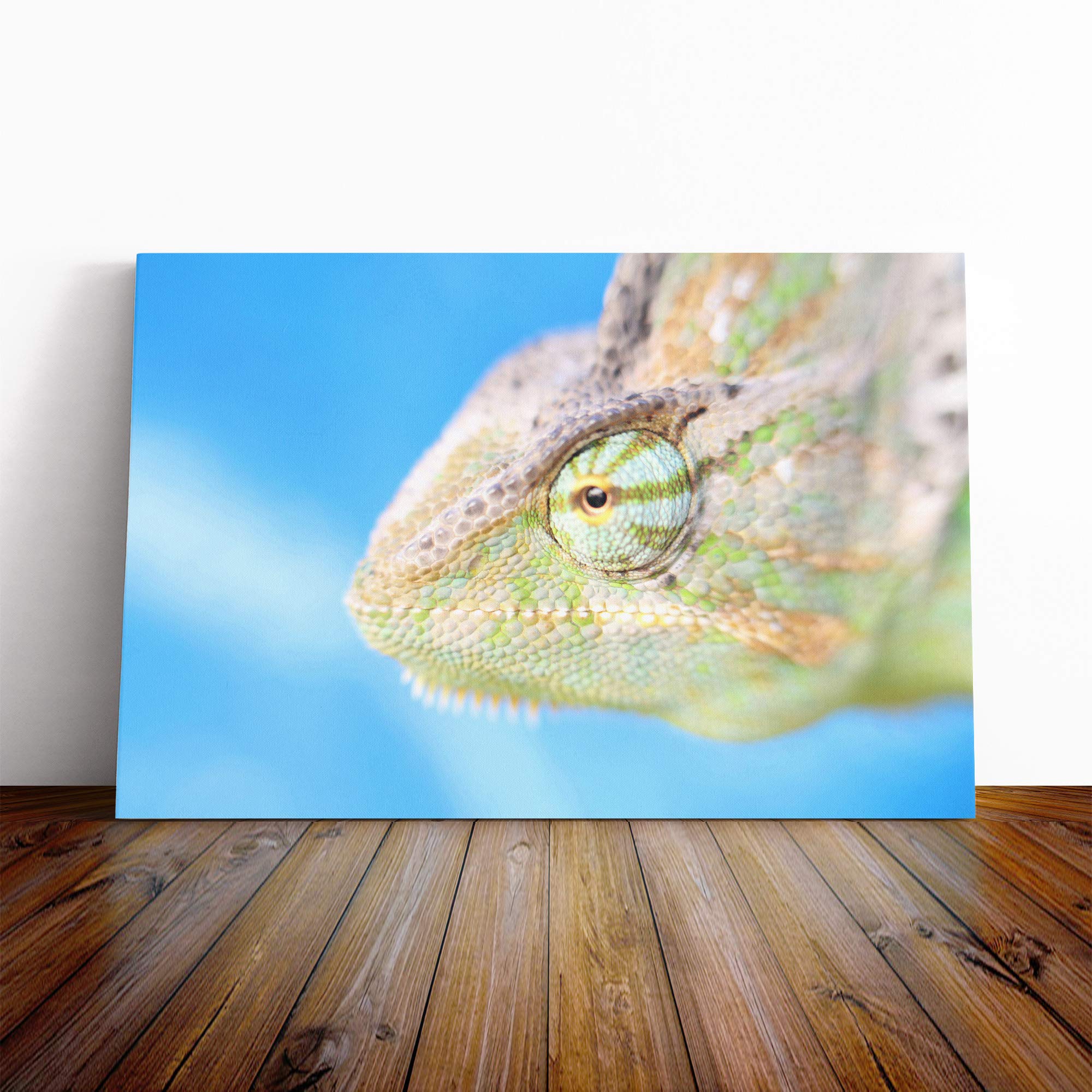 Chameleon Lizard Reptile (1) Canvas Print | Gallery Wrapped 30mm Frame Wall Art | 20x14 inches | Ready to Hang | Modern Animals Picture | Living Room Bedroom Lounge Office