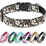 Taglory Unique Designer Soft Dog Collar, Western Collars for Puppy Small Medium Large Dogs