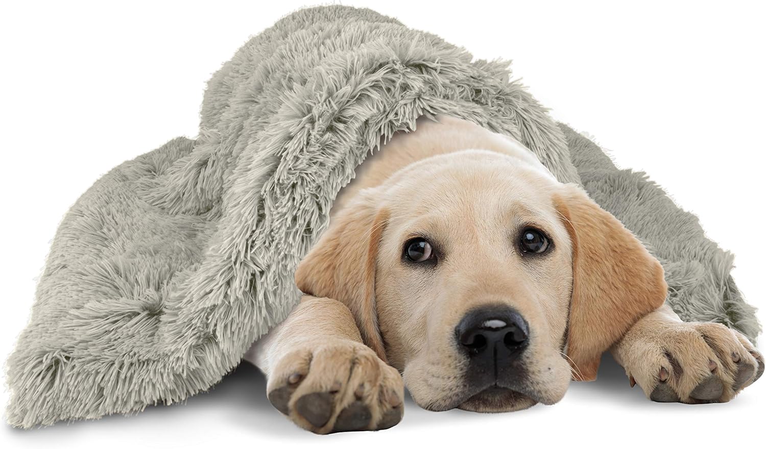 The Dog’s Blanket Sound Sleep Donut Dog Blanket, Large Silver Grey, Calming, Anti-Anxiety Snuggler Blanket, Veterinary Approved