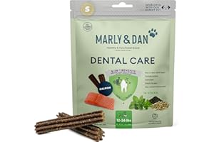 Marly & Dan Dental Care Chew Sticks, 5-in-1 Benefits for Dental and Immune System Health, Salmon, Peppermint & Green Tea, Chew Treats for Dogs (Small Dogs, Salmon)