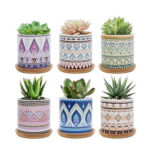 Warmplus Succulent Pots, 3 inch Bohemian Planter Pot with Drainage and  Bamboo Tray, Small Pots for All House Plants, Succulents, Flowers, Cactus,  Pack of 6 - Plants Not Included in Kenya | Whizz Pots