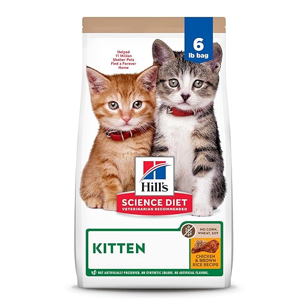 HILL’S SCIENCE DIET KITTEN, KITTEN PREMIUM NUTRITION, DRY CAT FOOD, NO CORN, WHEAT, SOY CHICKEN & BROWN RICE, 6 LB BAG