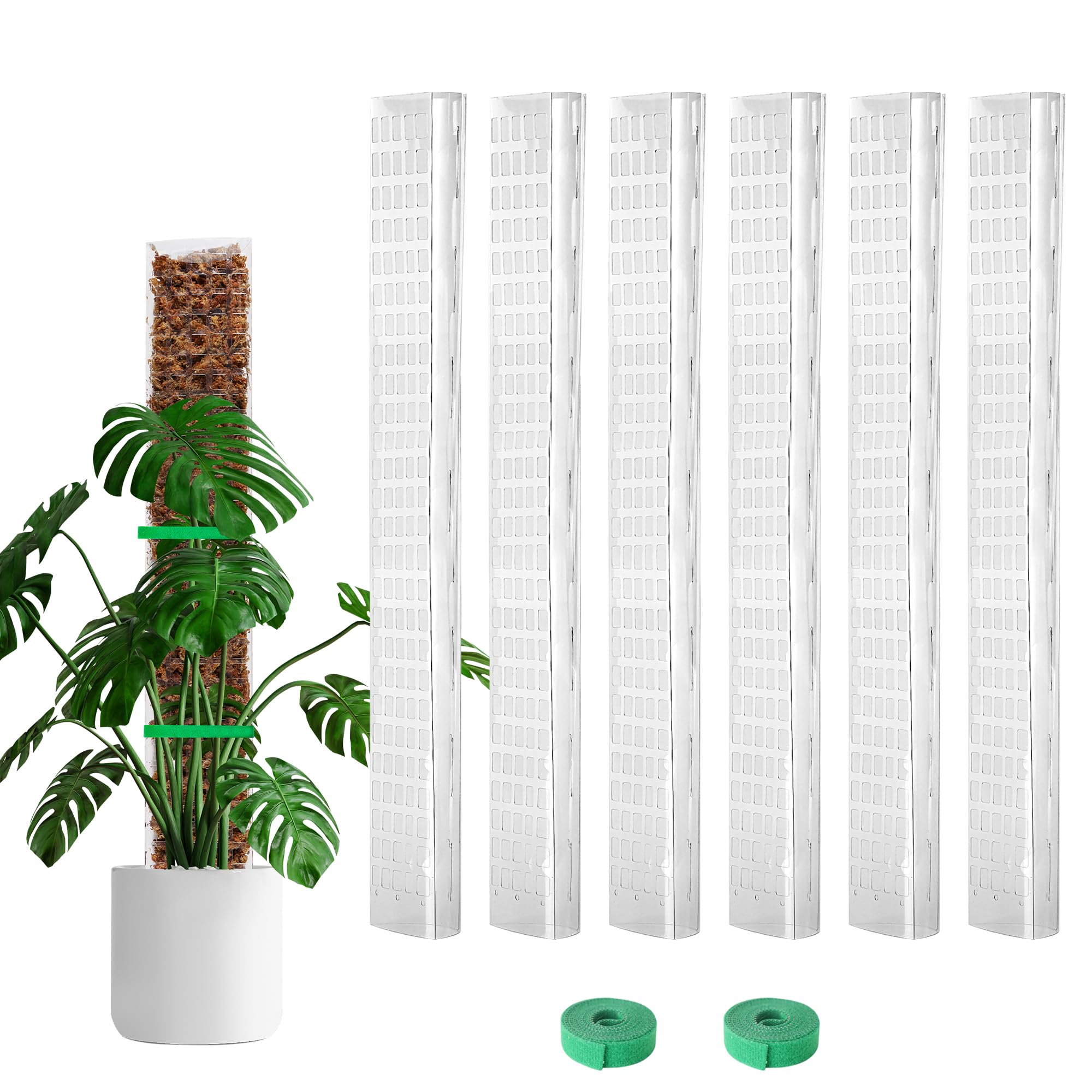 Photo 1 of Bluepro 24 Inch 6 Pcs Plastic Moss Pole for Plants Monstera, 6×24'' Plant Poles for Climbing Plants, Plant Support for Indoor Plants Work with Sphagnum Moss