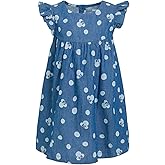 Disney Minnie Mouse Girls Chambray Denim Skater Dress Toddler to Big Kid