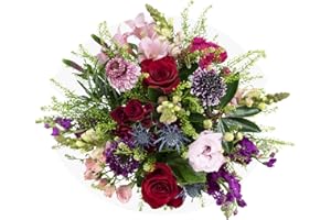 COLOUR REPUBLIC Country Living Premium Fresh Cut Red and Pink Roses Mixed Fresh Flowers, Extra Large Bouquet