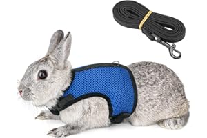 PETTOM Bunny Rabbit Harness with Stretchy Leash Cute Adjustable Buckle Breathable Mesh Vest for Kitten Small Pets Walking (XL(Chest:12.5-15.7 in), Blue)
