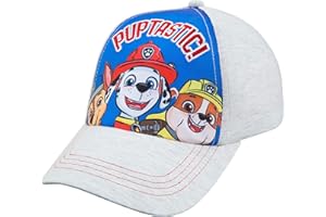 Nickelodeon Toddler Boys Paw Patrol Baseball Cap - Age 2-4 Blue/Gray