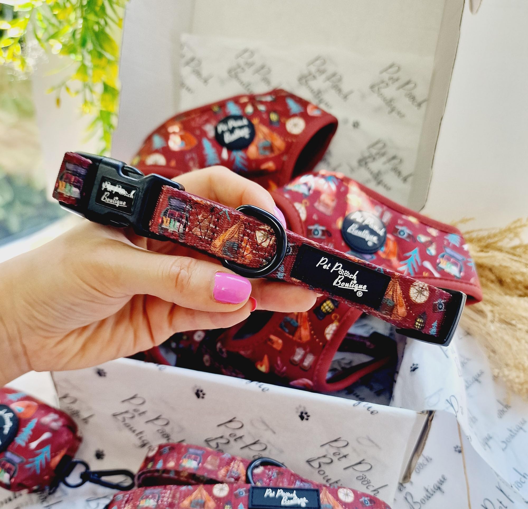 Great Adventure Dog Collar S