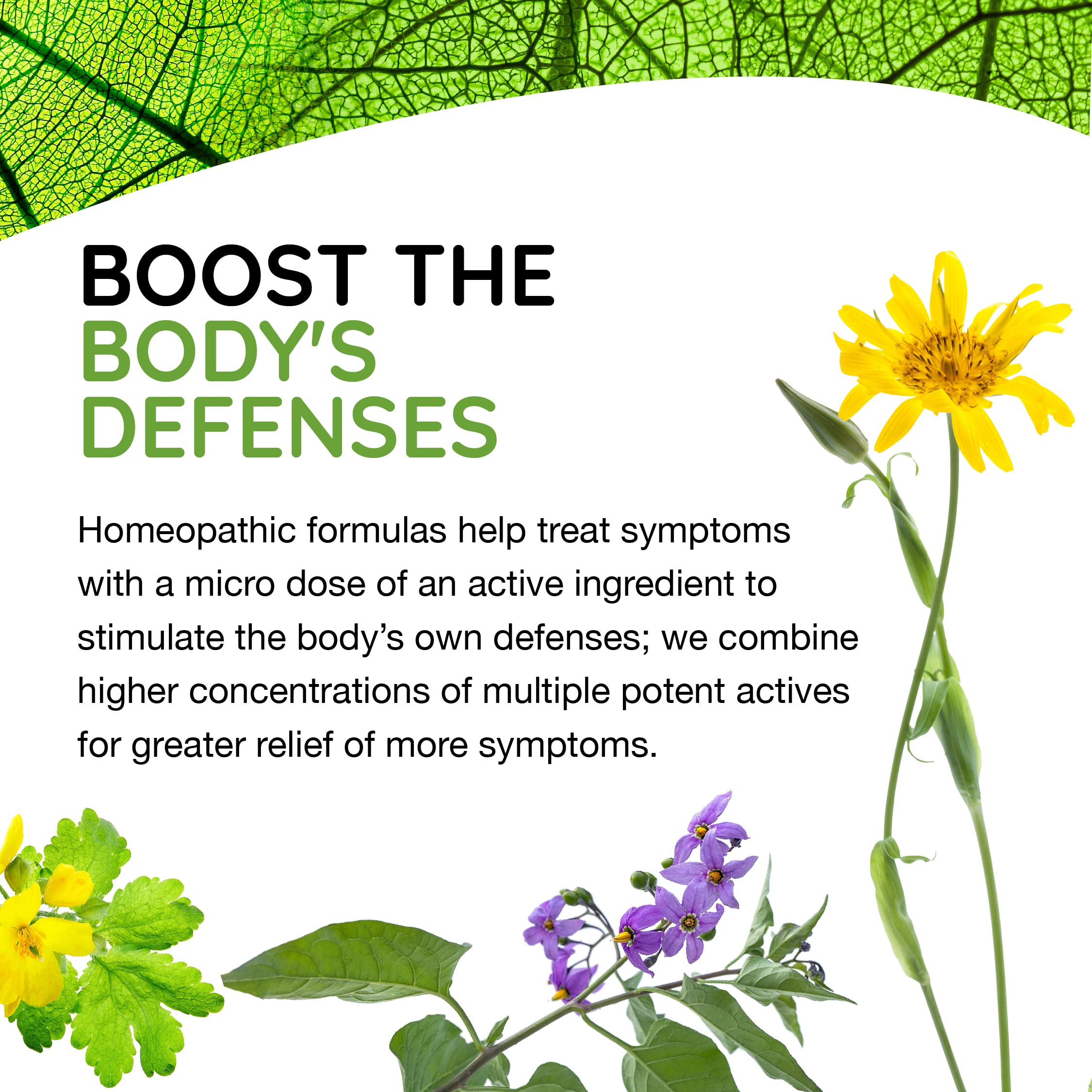 MediNatura T-Relief Pet Arthritis Pain Relief Arnica +12 Powerful Natural Medicines Help Reduce Hip & Joint Pain, Soreness & Stiffness - Fast-Acting Soother for Dog & Cat - 1.69 oz