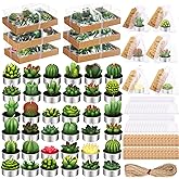 Treela 36 Pcs Cactus Succulent Tealight Candles with 36 Organza Gift Bags and 36 Thank You Card Tag Decorative Cute Candles Gifts for Birthday Wedding Christmas Party Home Decor