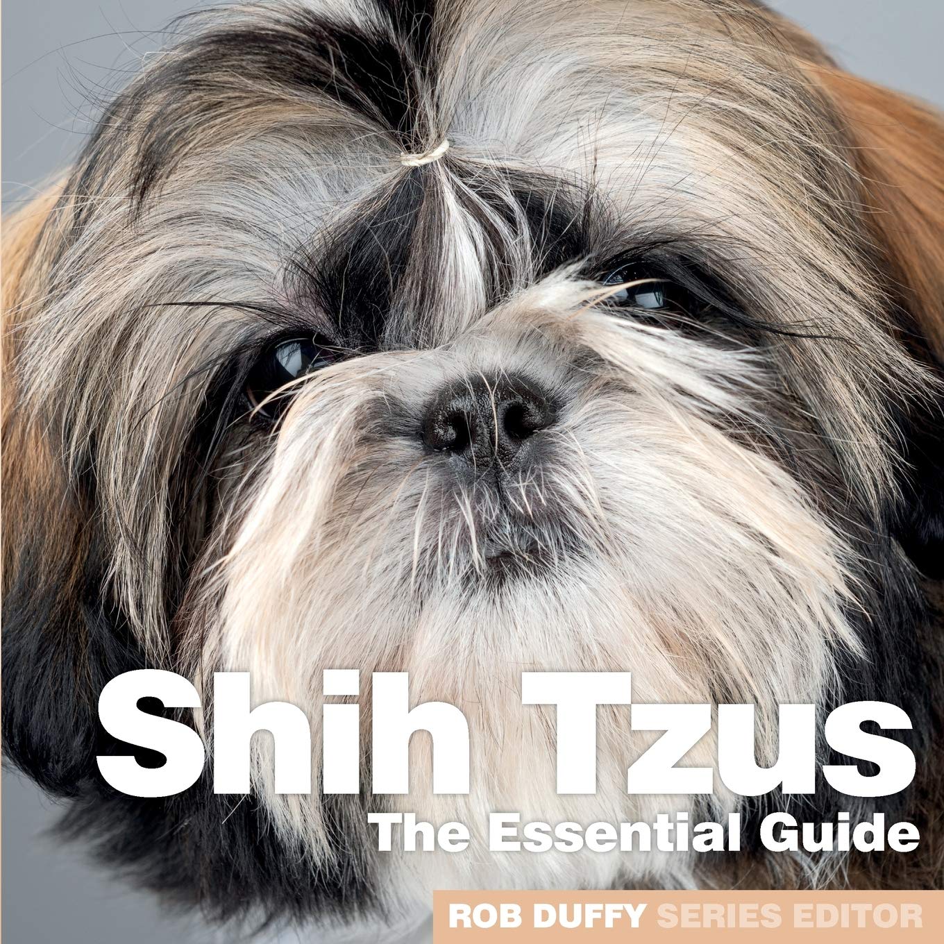 shih tzu essentials