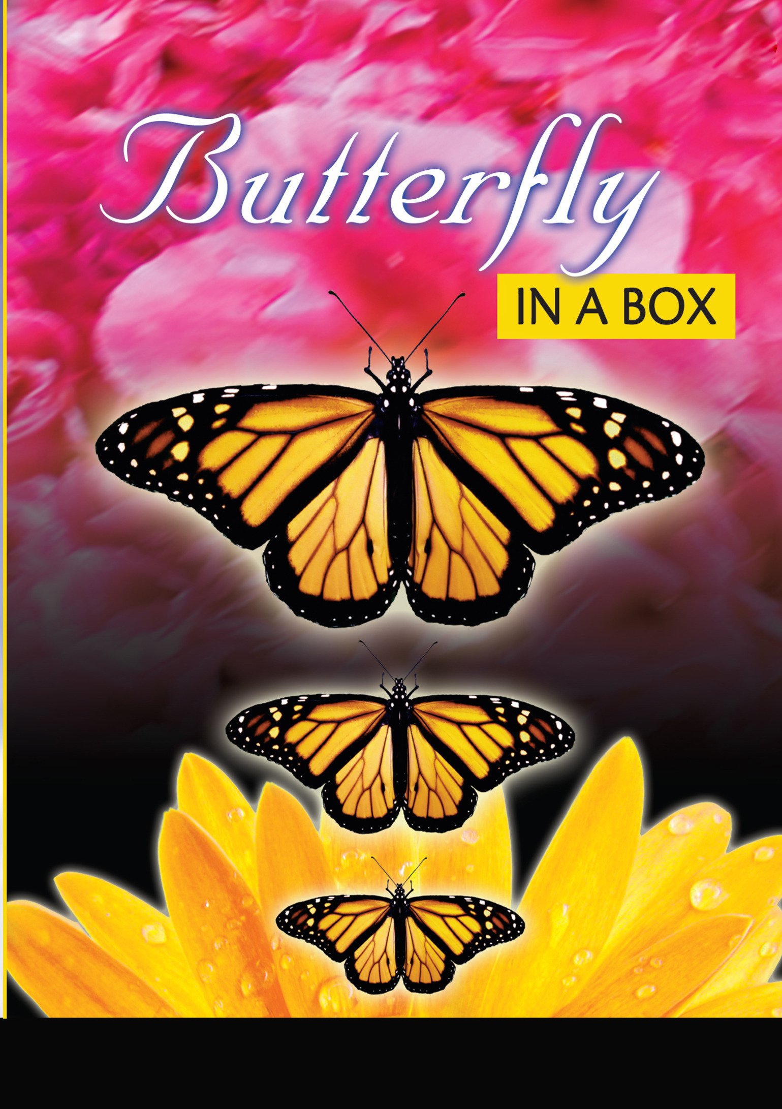 Watch Butterfly In A Box Prime Video