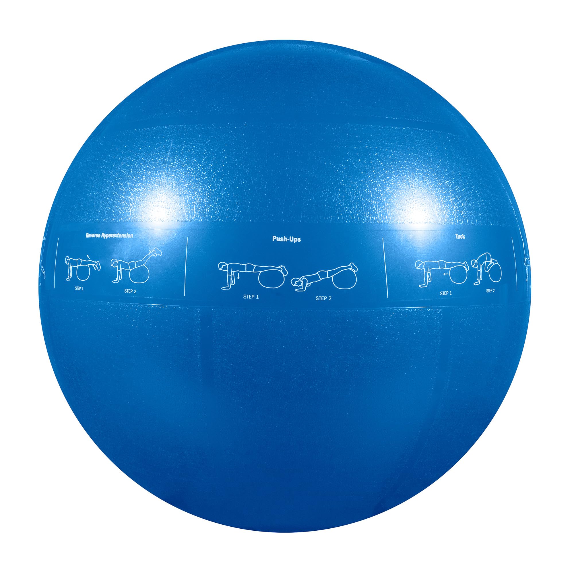 GoFit Professional Stability Ball - Blue, 55 cm
