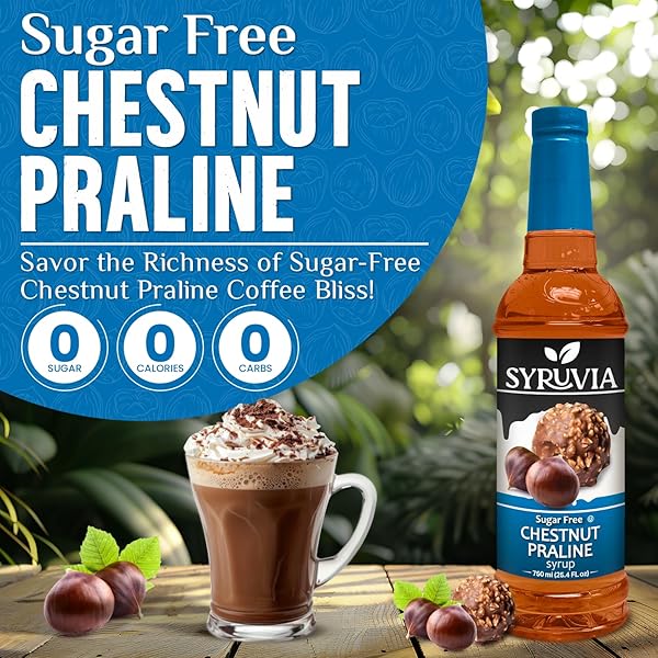 SYRUVIA SUGAR-FREE CHESTNUT PRALINE COFFEE SYRUP – 25.4 FL OZ. PREMIUM COFFEE FLAVORING SYRUP. 0 CALORIES, KOSHER, AND GLUTEN-FREE. PERFECT FOR ENHANCING DRINKS, SODAS, SHAKES, DESSERTS, AND MORE.