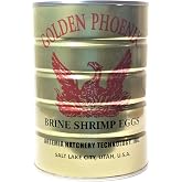 Brine Shrimp Eggs 90% Hatch Rate, Premium Grade A Eggs... 1-lb Can | 90% Hatch Rate Brine Shrimp Eggs, Great Salt Lake Artemia Cysts for Guppies, Tetras, Cichlids Betta, Marines, Fry, Tropicals