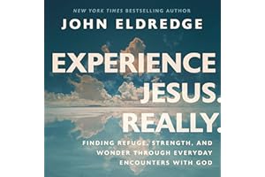Experience Jesus. Really: Finding Refuge, Strength, and Wonder through Everyday Encounters with God